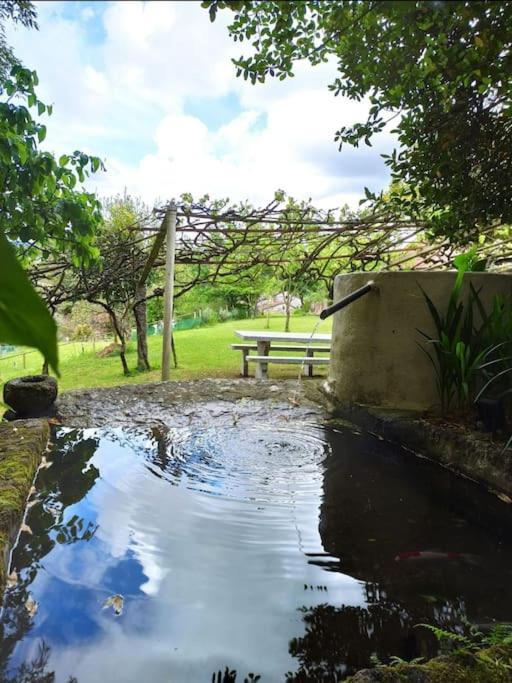 A Vina De Lina. Turismo Rural Con Piscina Y Finca. Pontevedra Exterior photo